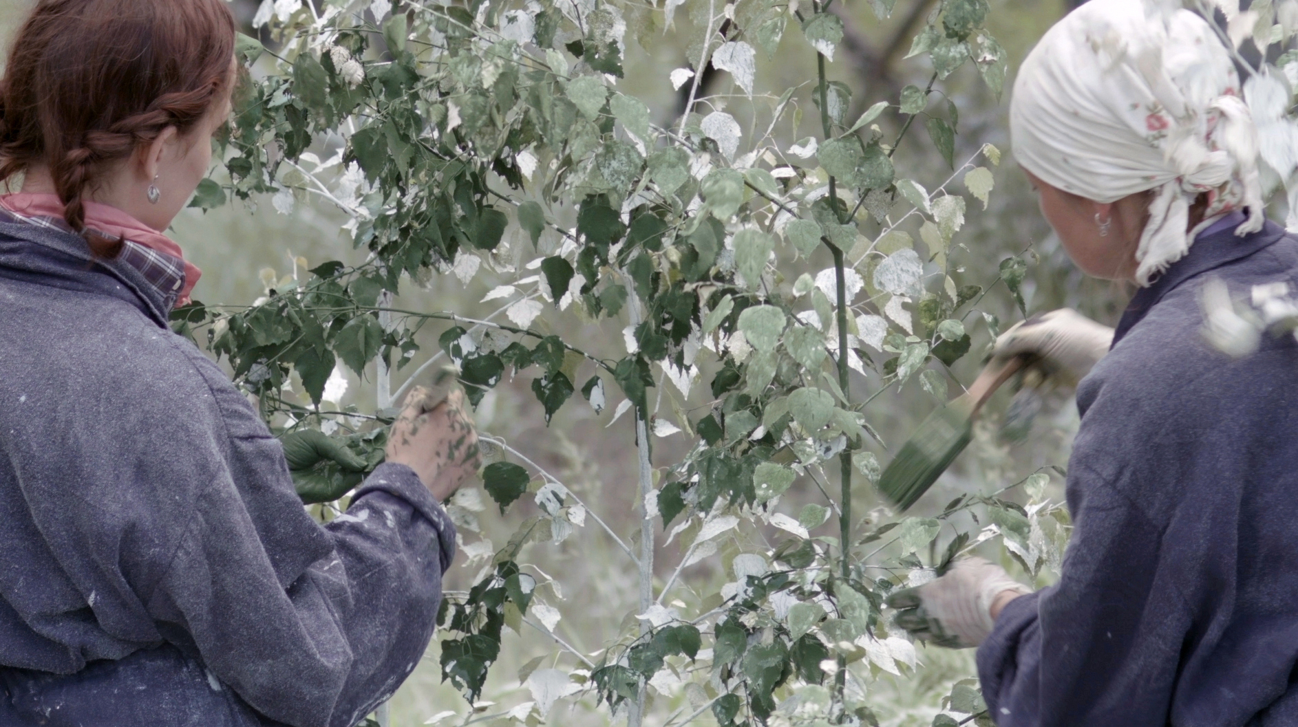 Julius von Bismarck, //Landscape Painting (Forest)//, 2016, video, 19 min 40 s, MOCAK Collection