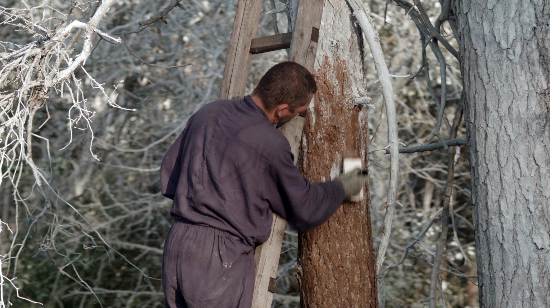 Julius von Bismarck, //Landscape Painting (Forest)//, 2016, video, 19 min 40 s, MOCAK Collection