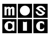 Grupa Mosaic2