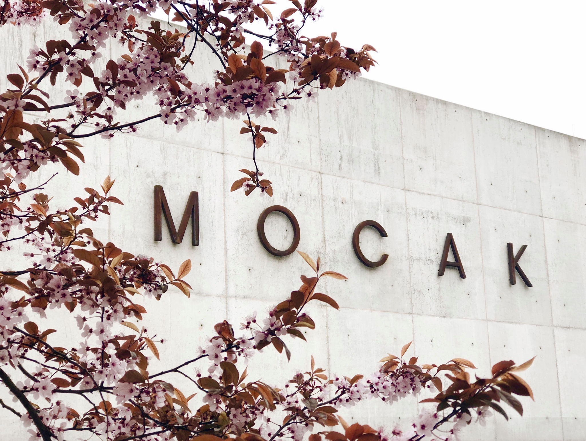 Fot. Dział Promocji, MOCAK