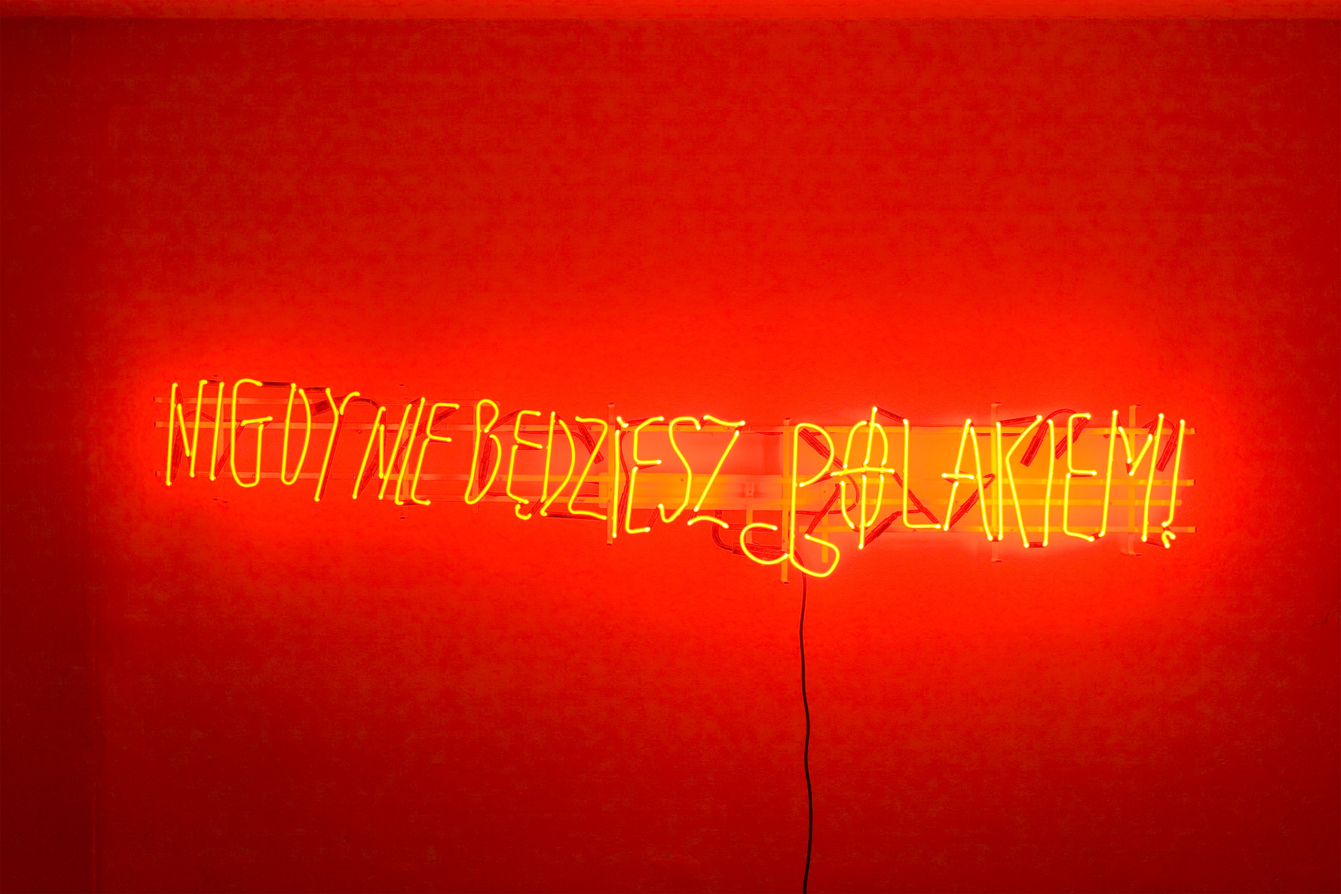 Hubert Czerepok, //Nigdy nie będziesz Polakiem!//, 2007, neon, 40 × 170 × 15 cm, courtesy H. Czerepok