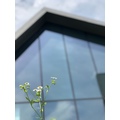 Photo: Promotion Department, MOCAK3