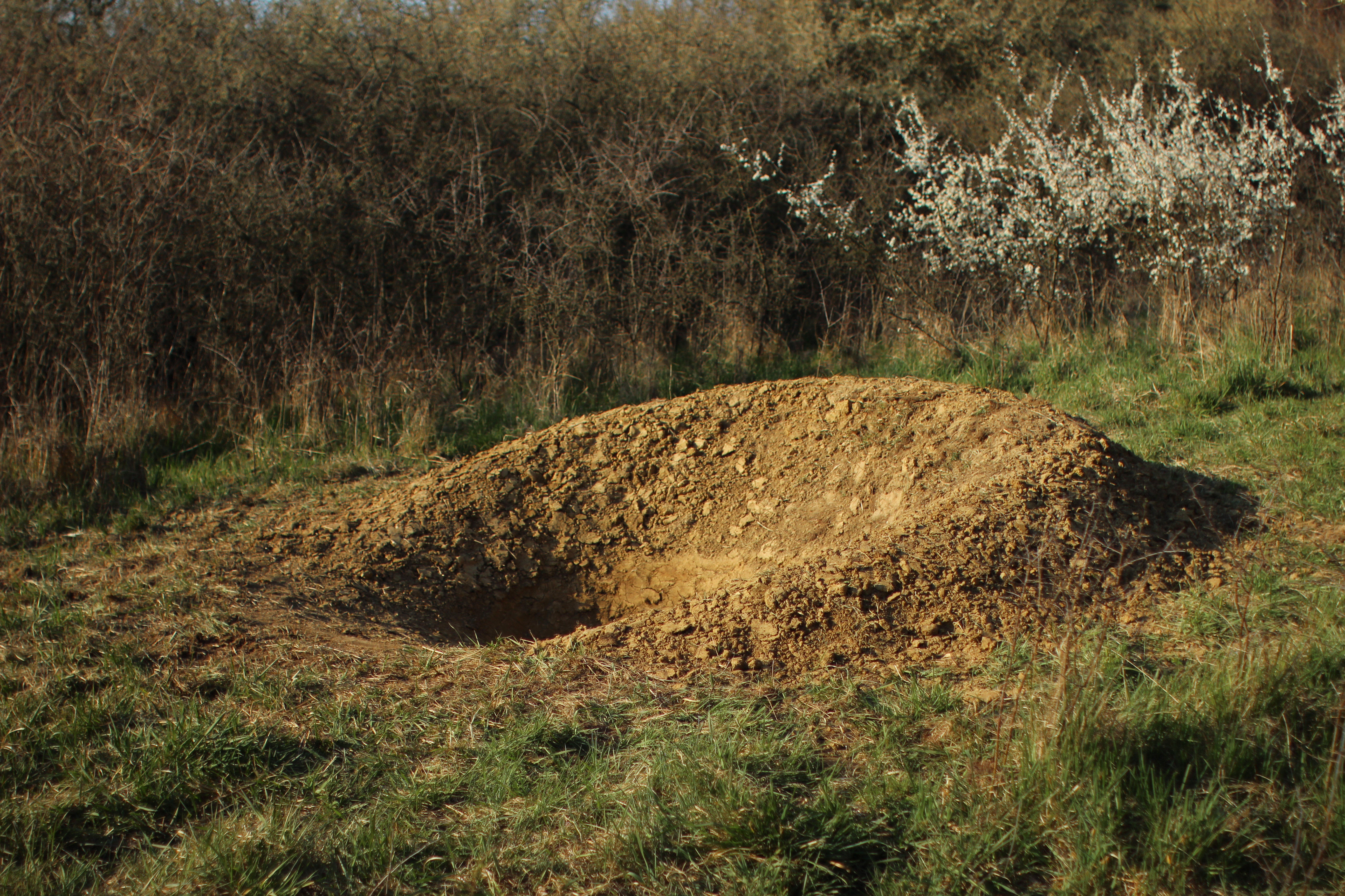 Krzysztof Maniak, //Excavations//, 2020 (as of 4 November 2020), photograph, courtesy K. Maniak