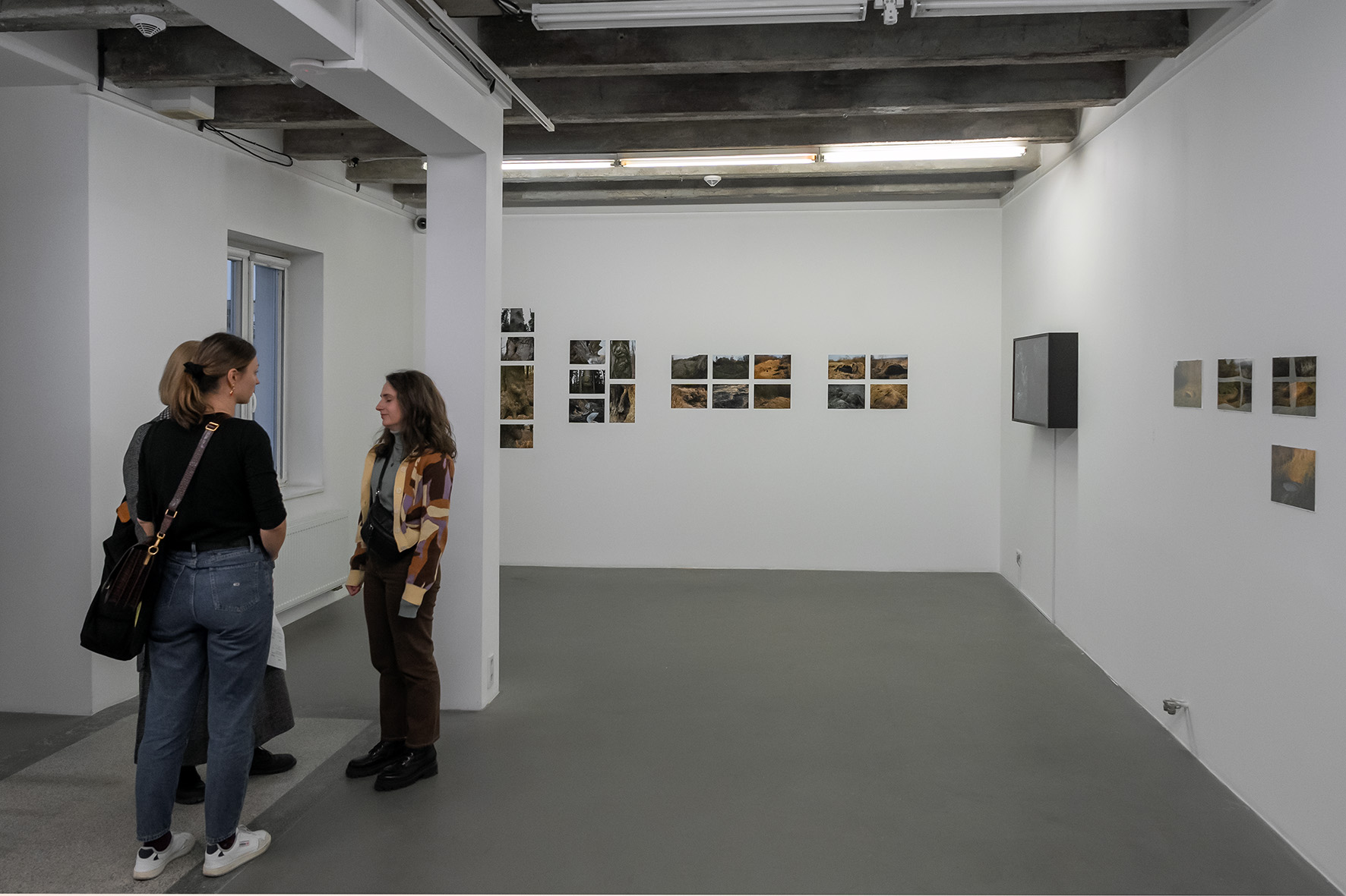 //Actions in Nature// exhibition, photo: R. Sosin