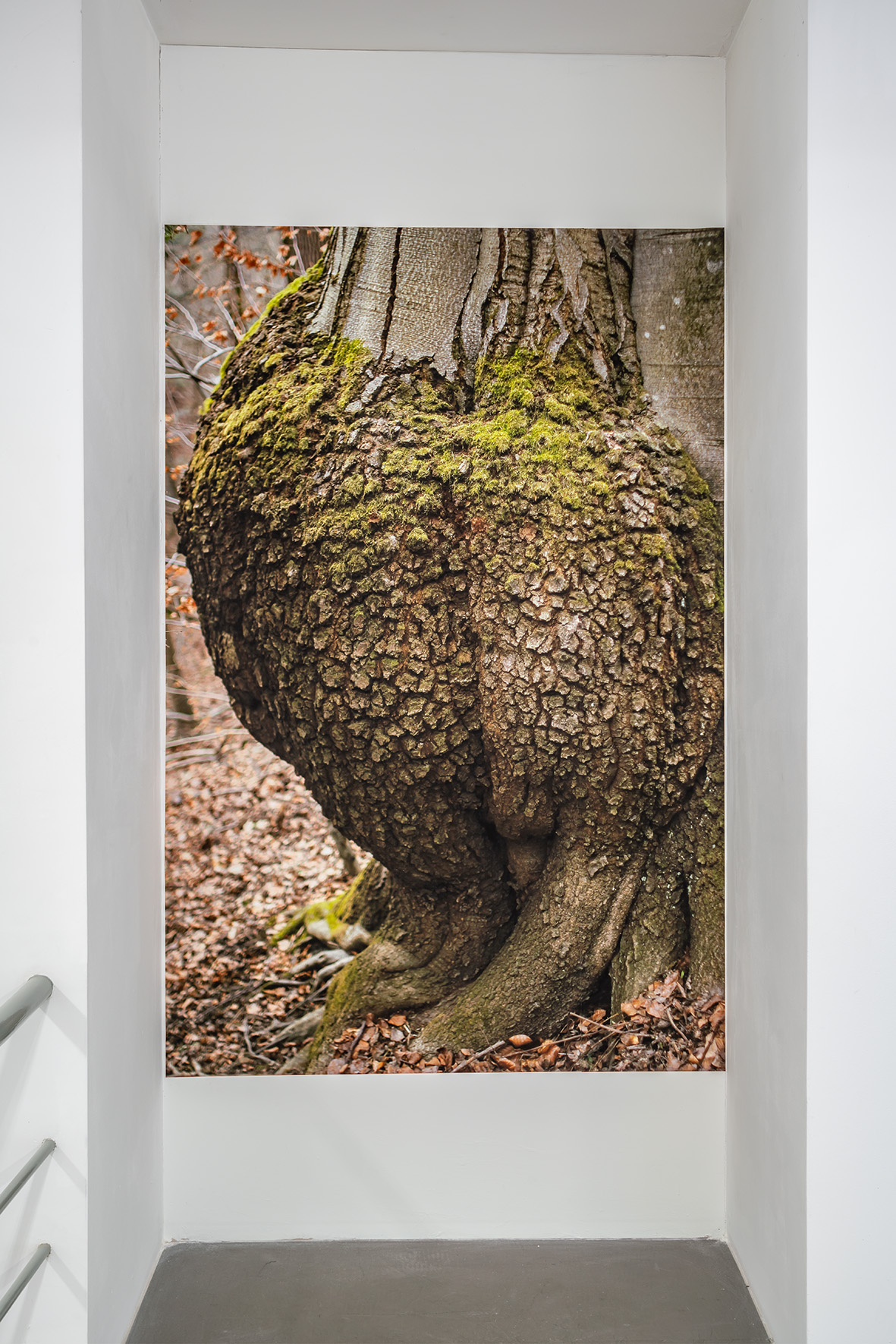 Krzysztof Maniak, untitled, from the series Walks, 2021, photograph, courtesy K. Maniak, photo: R. Sosin