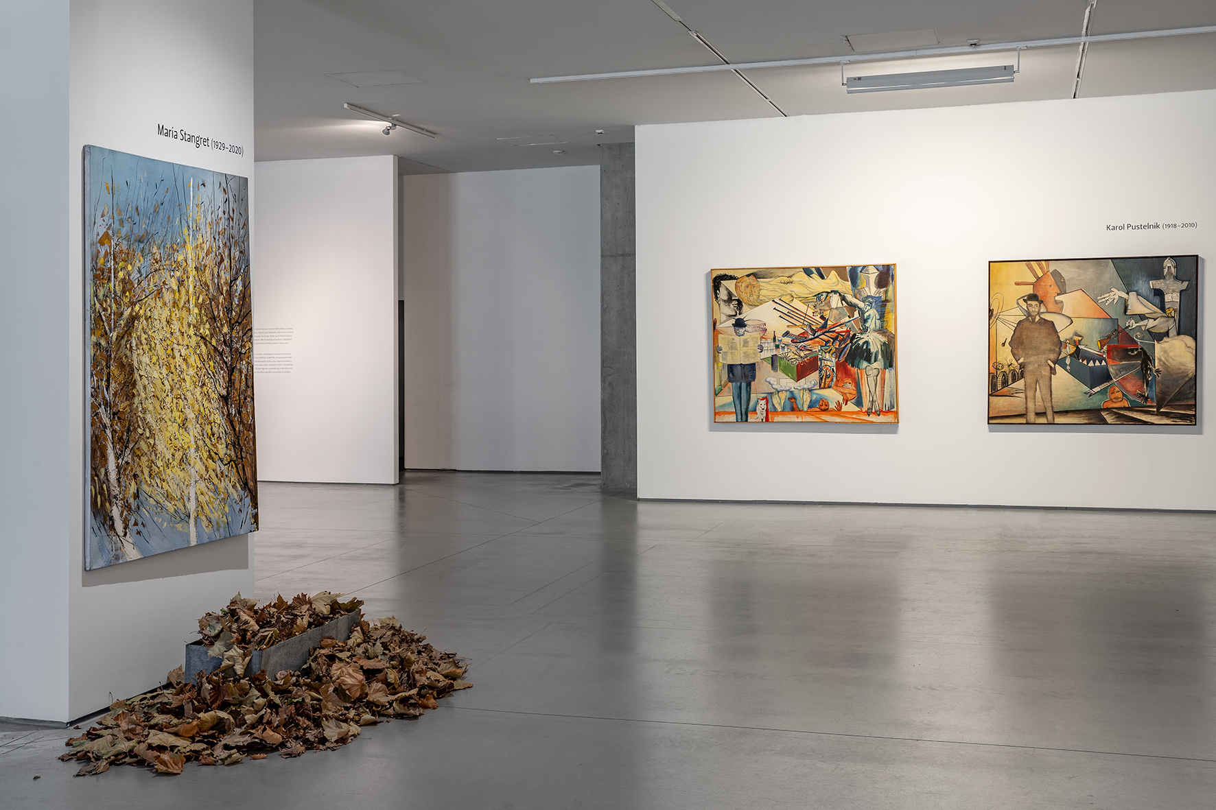 Wystawa //Artyści z Krakowa. II Grupa Krakowska//, fot. R. Sosin