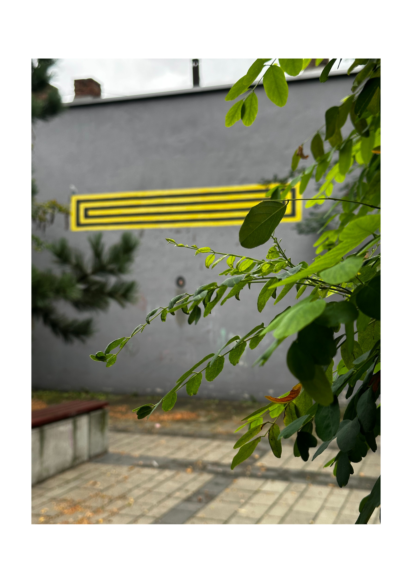 Fot. Dział Promocji, MOCAK