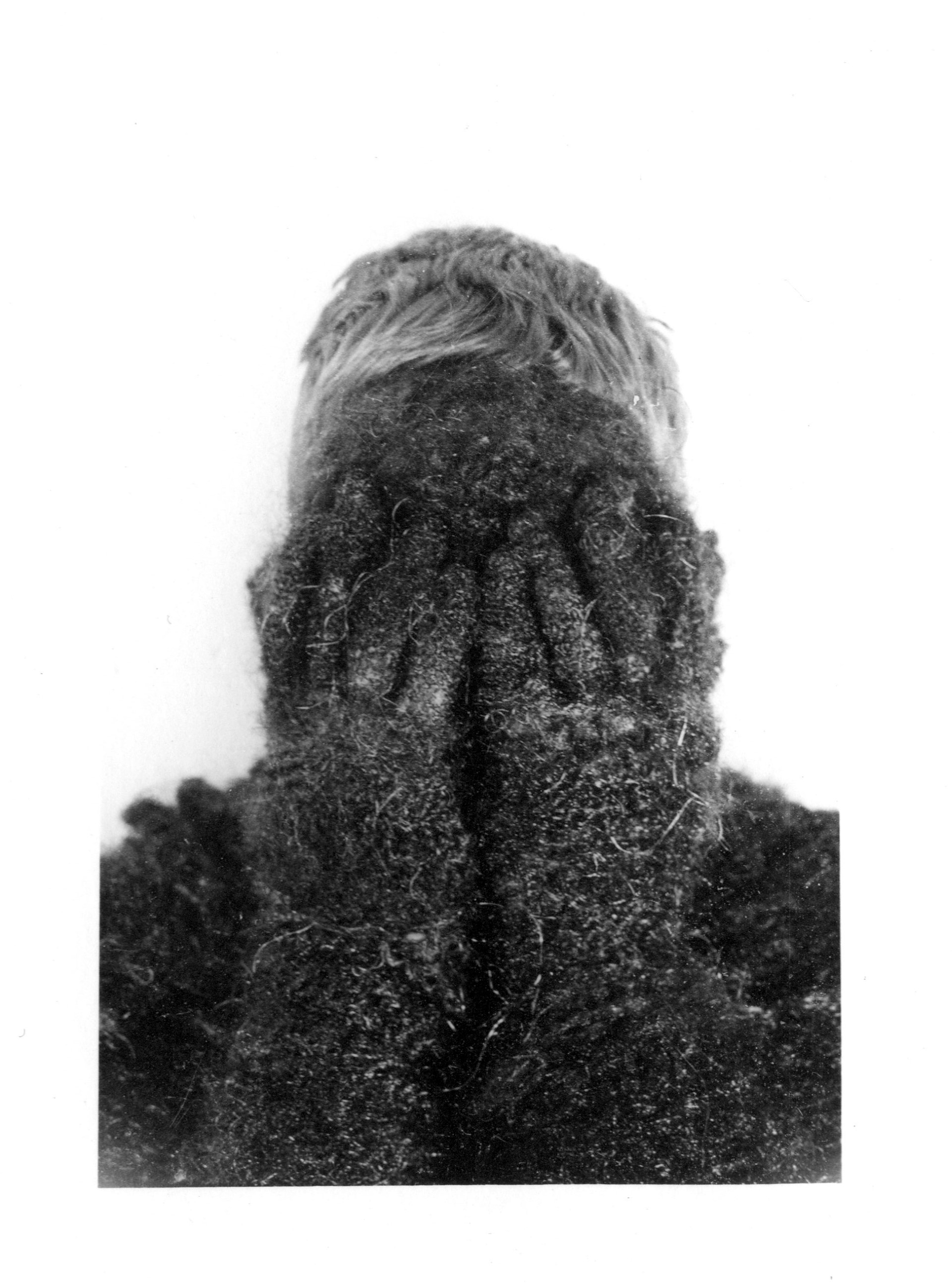Eglė Rakauskaitė, //Hairy//, 1994, fot. courtesy Eglė Rakauskaitė
