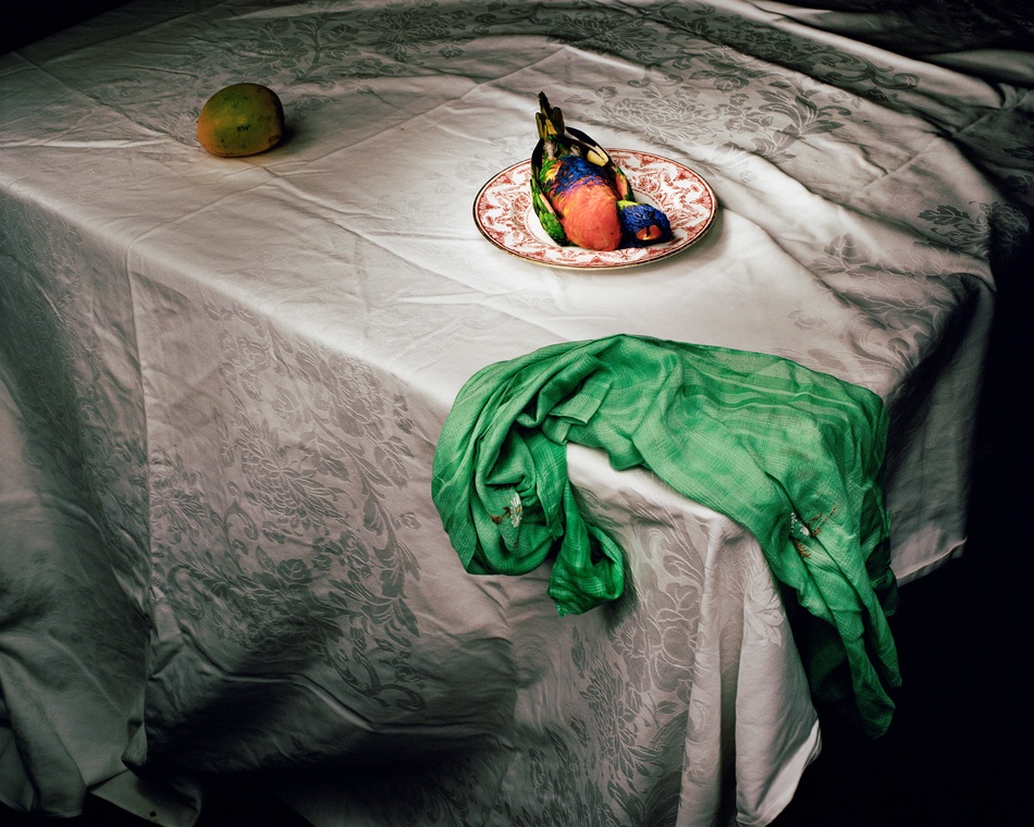Marian Drew, z cyklu //Australiana Still Life//, 2003–2011, fotografia, 100 × 125 cm, courtesy M. Drew i Onespace Gallery Brisbane