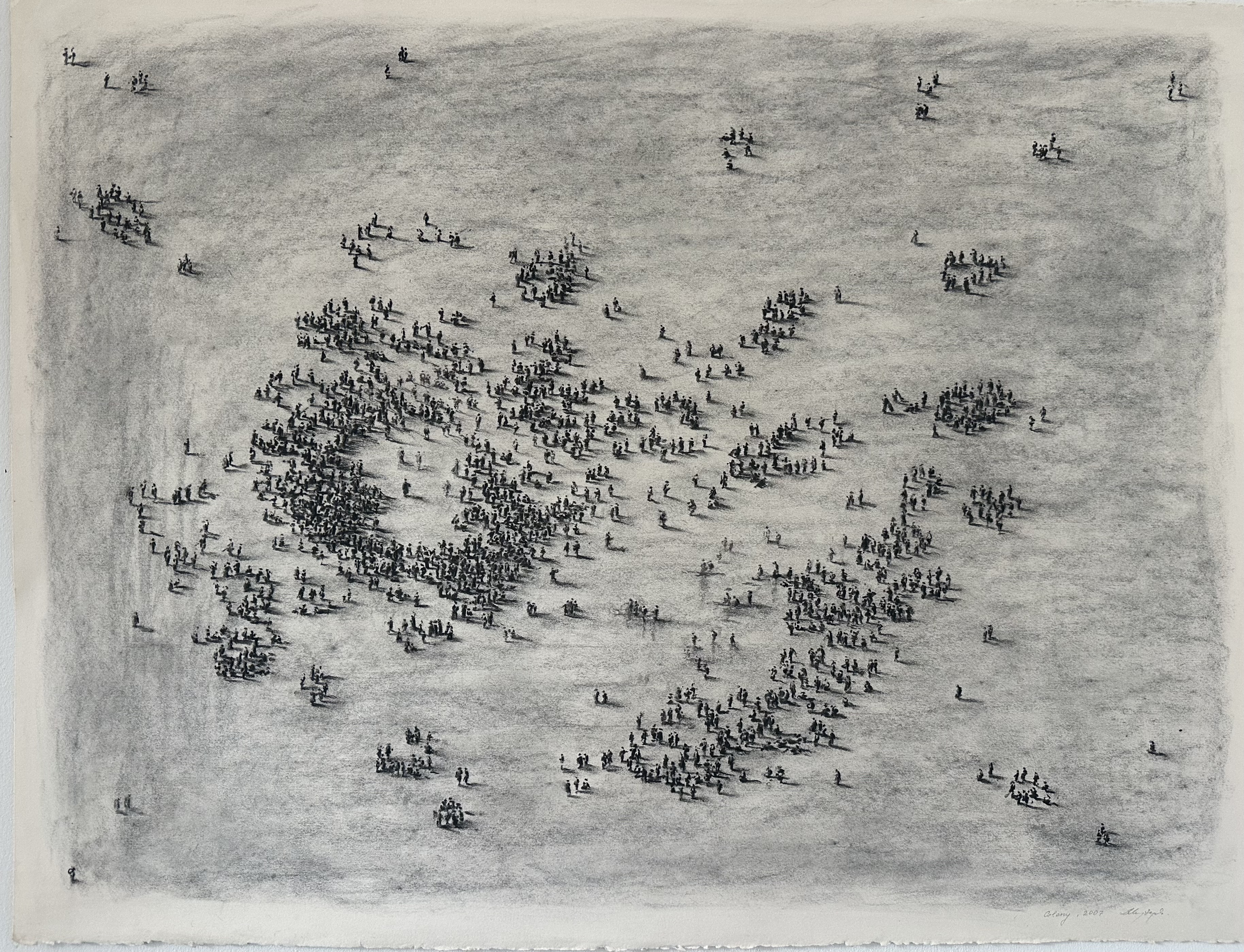 Dorota Mytych, //Colony//, 2007, węgiel na papierze / charcoal on paper, 76 x 58 cm  