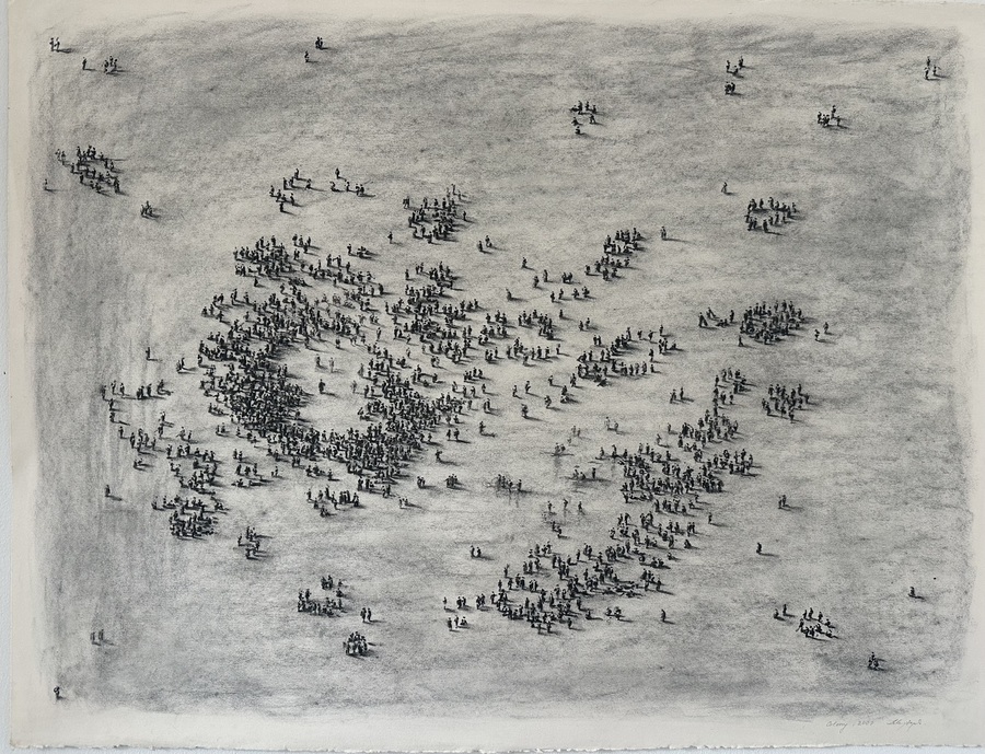 Dorota Mytych, //Colony//, 2007, charcoal on paper, 76 x 58 cm