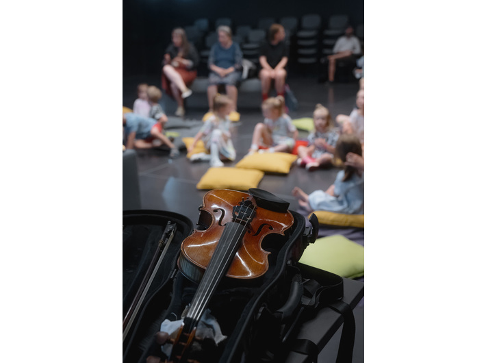 Ph. Klaudyna Schubert