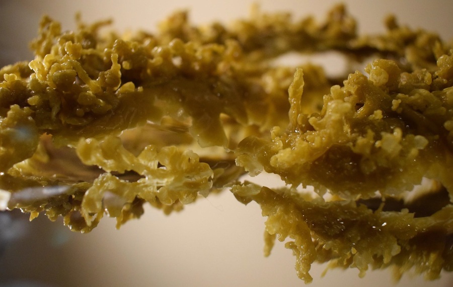 Fot. Dział Wiedzy o Sztuce