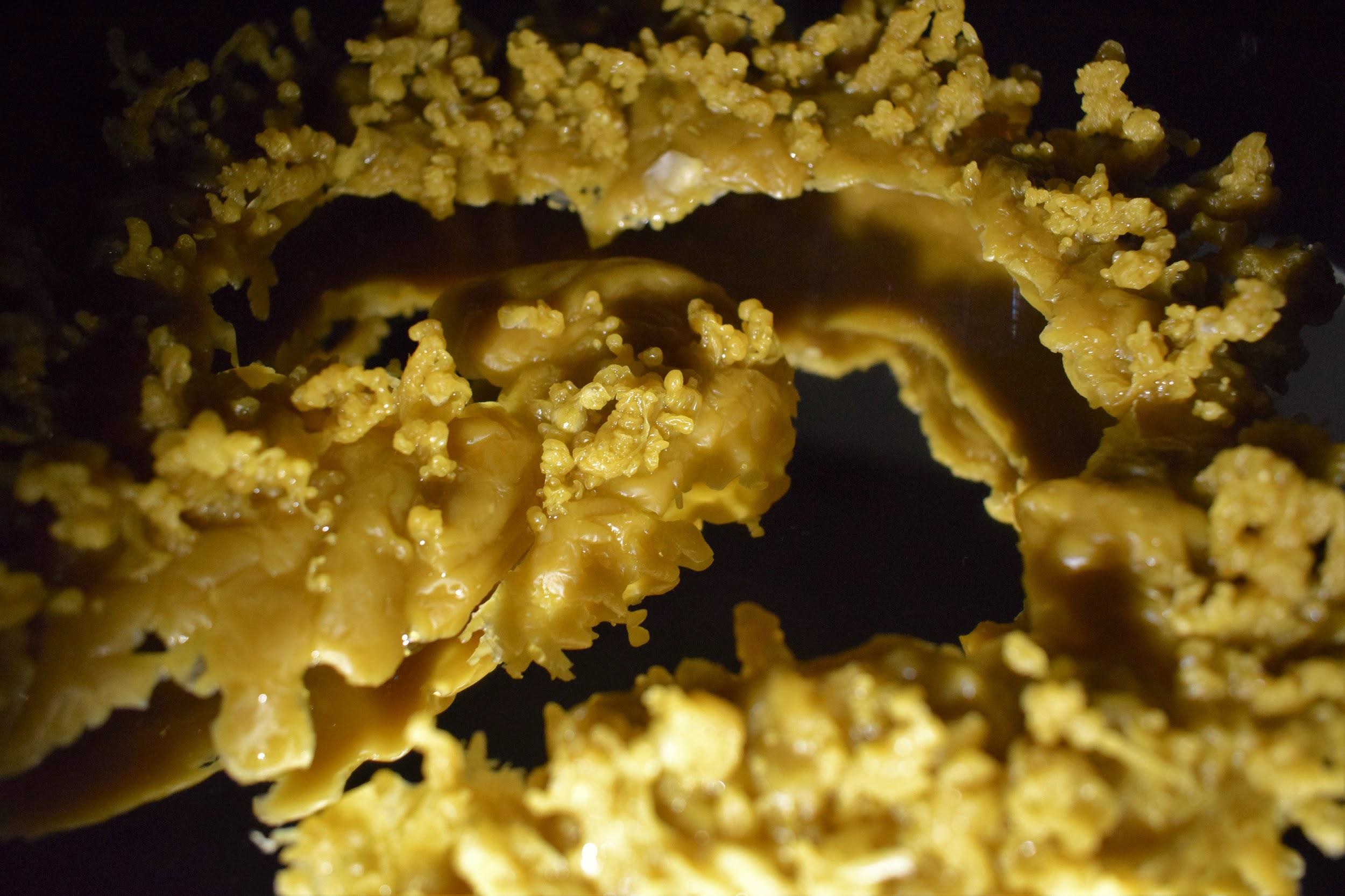 Fot. Dział Wiedzy o Sztuce