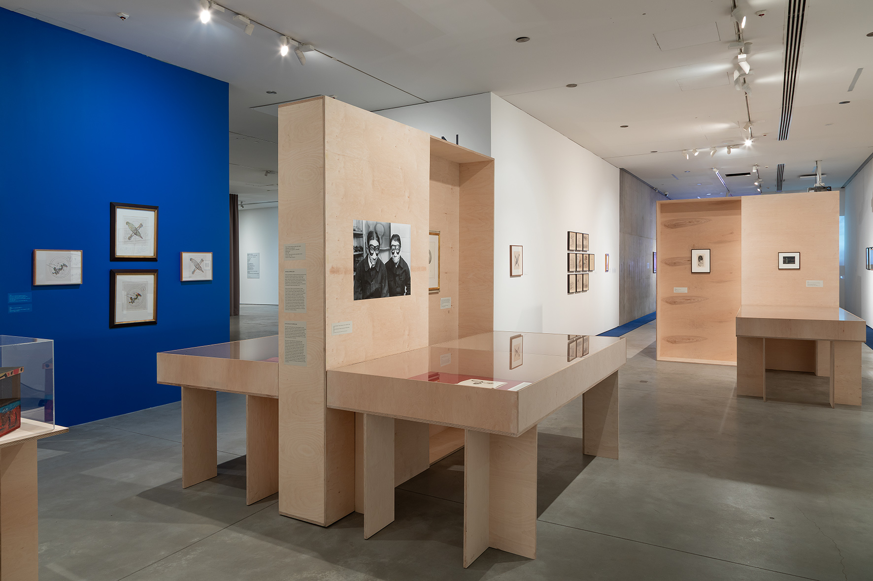 //Toyen. Sny z obrzeży//, MOCAK, 7.3–14.6.2026, fot. R. Sosin