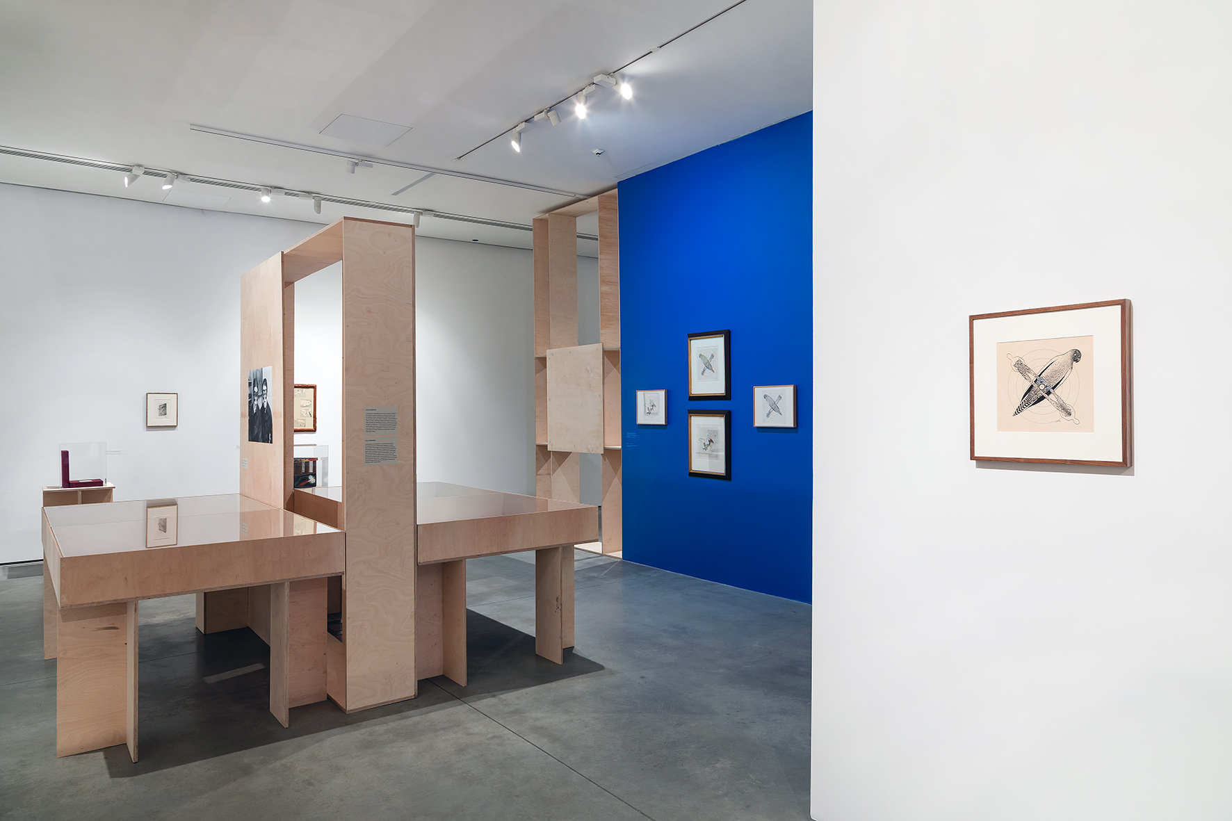 //Toyen. Sny z obrzeży//, MOCAK, 7.3–14.6.2026, fot. R. Sosin