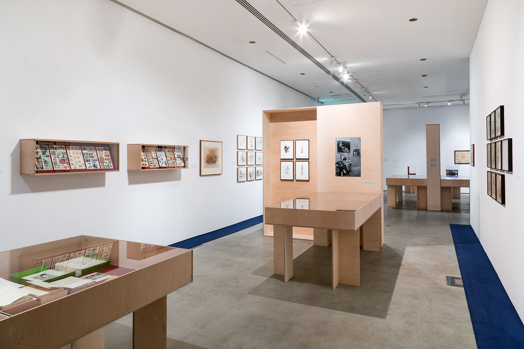 //Toyen. Sny z obrzeży//, MOCAK, 7.3–14.6.2026, fot. R. Sosin