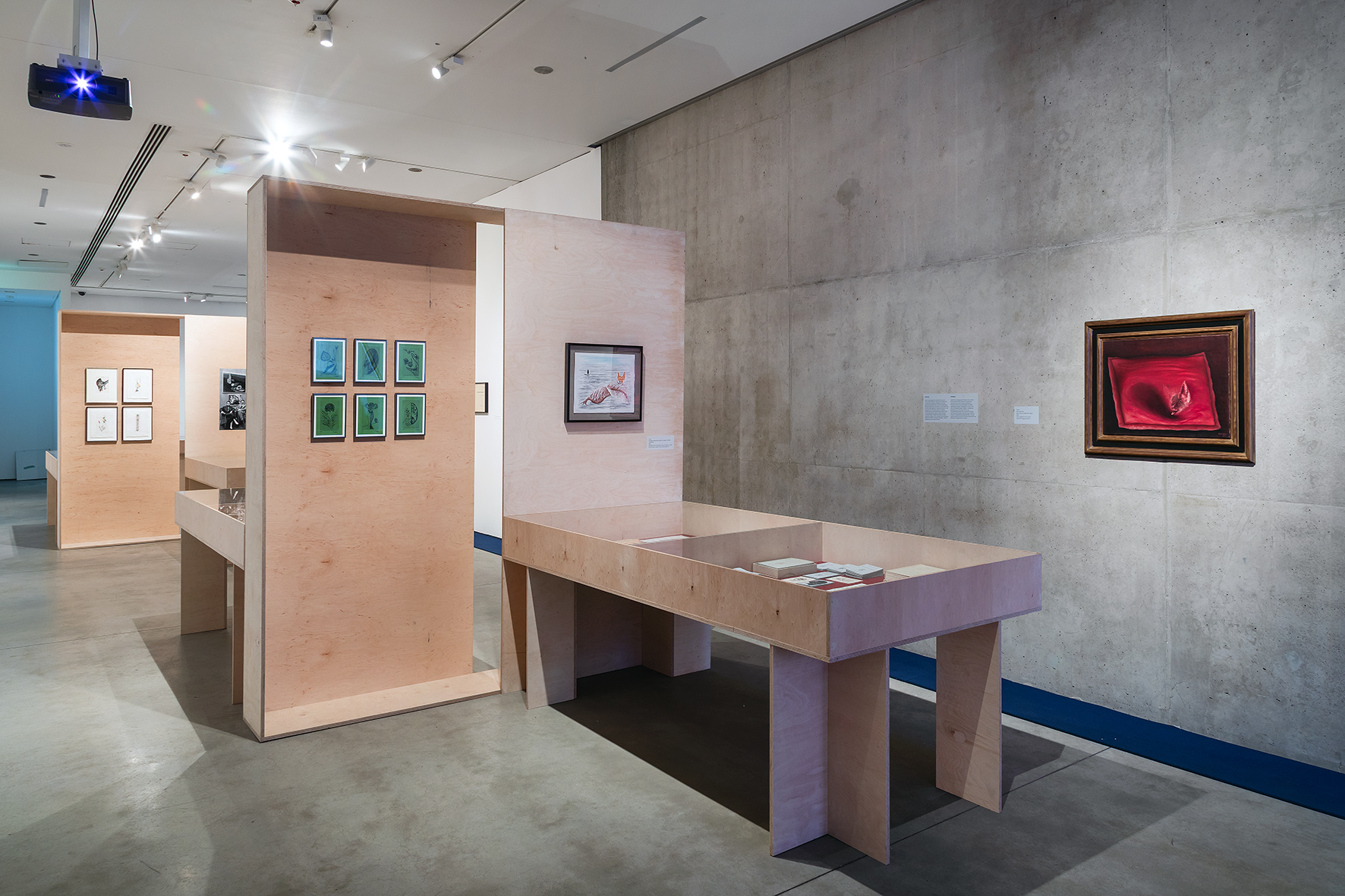 //Toyen. Sny z obrzeży//, MOCAK, 7.3–14.6.2026, fot. R. Sosin