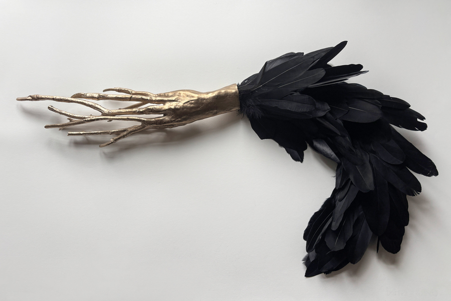 Zdziczała, brąz, pióra, 40cm x 75cm x 7cm, 2026, zdjęcie dzięki uprzejmości artystki //Zdziczała//, brąz, pióra, 40cm x 75cm x 7cm, 2026, zdjęcie dzięki uprzejmości artystki Zdziczała, brąz, pióra, 40cm x 75cm x 7cm, 2026, zdjęcie dzięki uprzejmości artystki