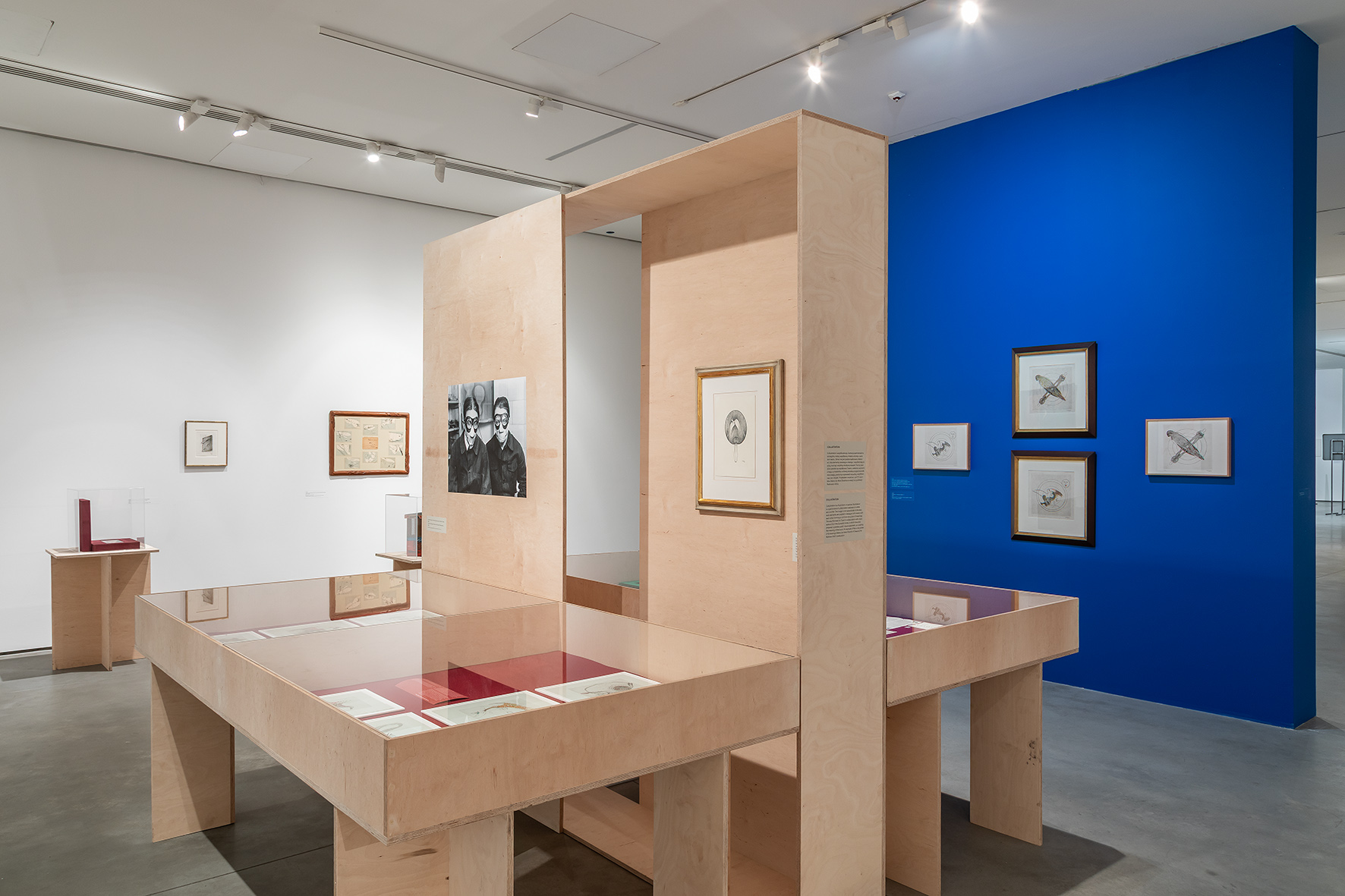 //Toyen: Dreaming in the Margins//, MOCAK, 7 March – 14 June 2026, photo: R. Sosin