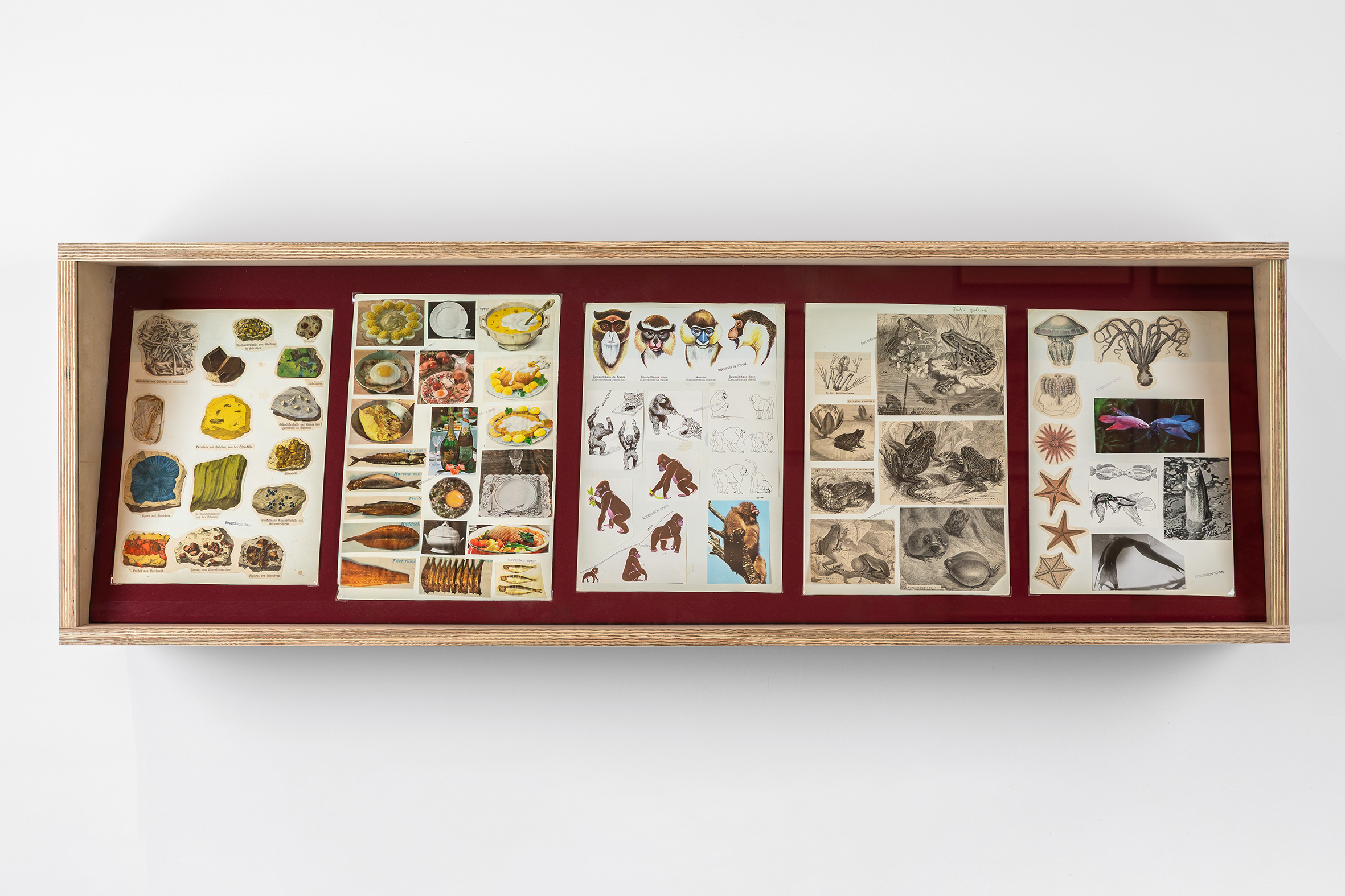 //Toyen. Sny z obrzeży//, MOCAK, 7.3–14.6.2026, fot. R. Sosin