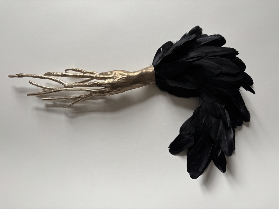 //Feral//, bronze, feathers, 40 cm × 75 cm × 7 cm, 2026, photo courtesy of the artist