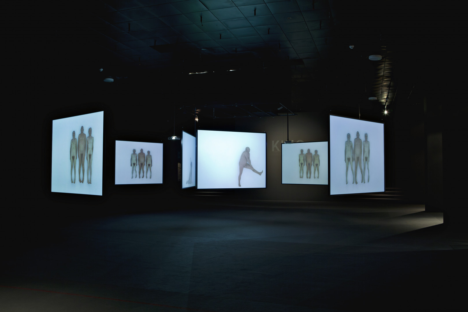 Katarzyna Kozyra, The Rite of Spring, 1999–2002, video installation, MOCAK Collection, © K. Kozyra, photo Elżbieta Białkowska