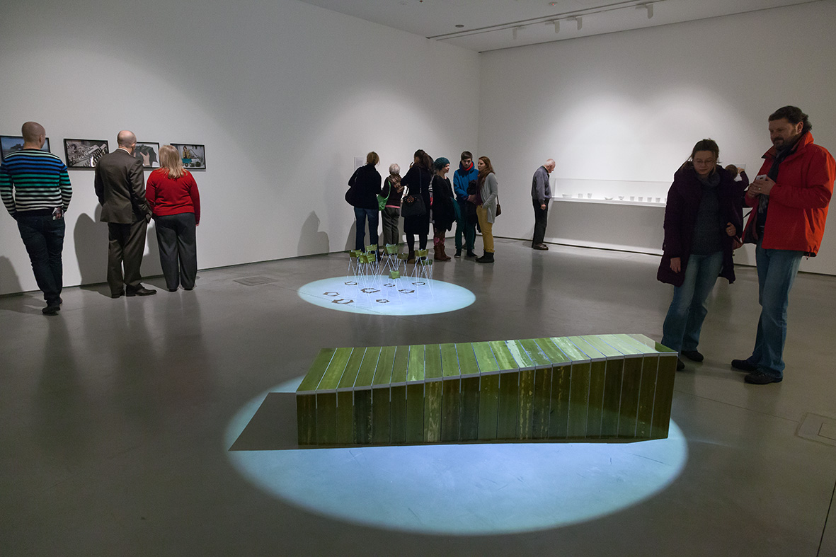 Opening 14 February 2013, photo R.Sosin