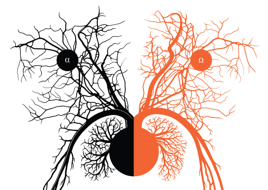 Kuba Woynarowski, Circulation/ Obieg, 20123