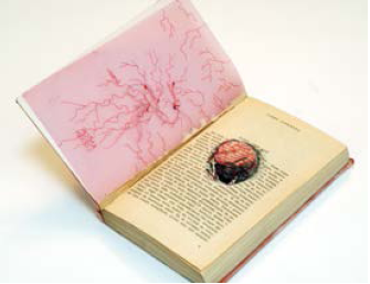 Project Return of the Book! phot. K. Wincenciak1