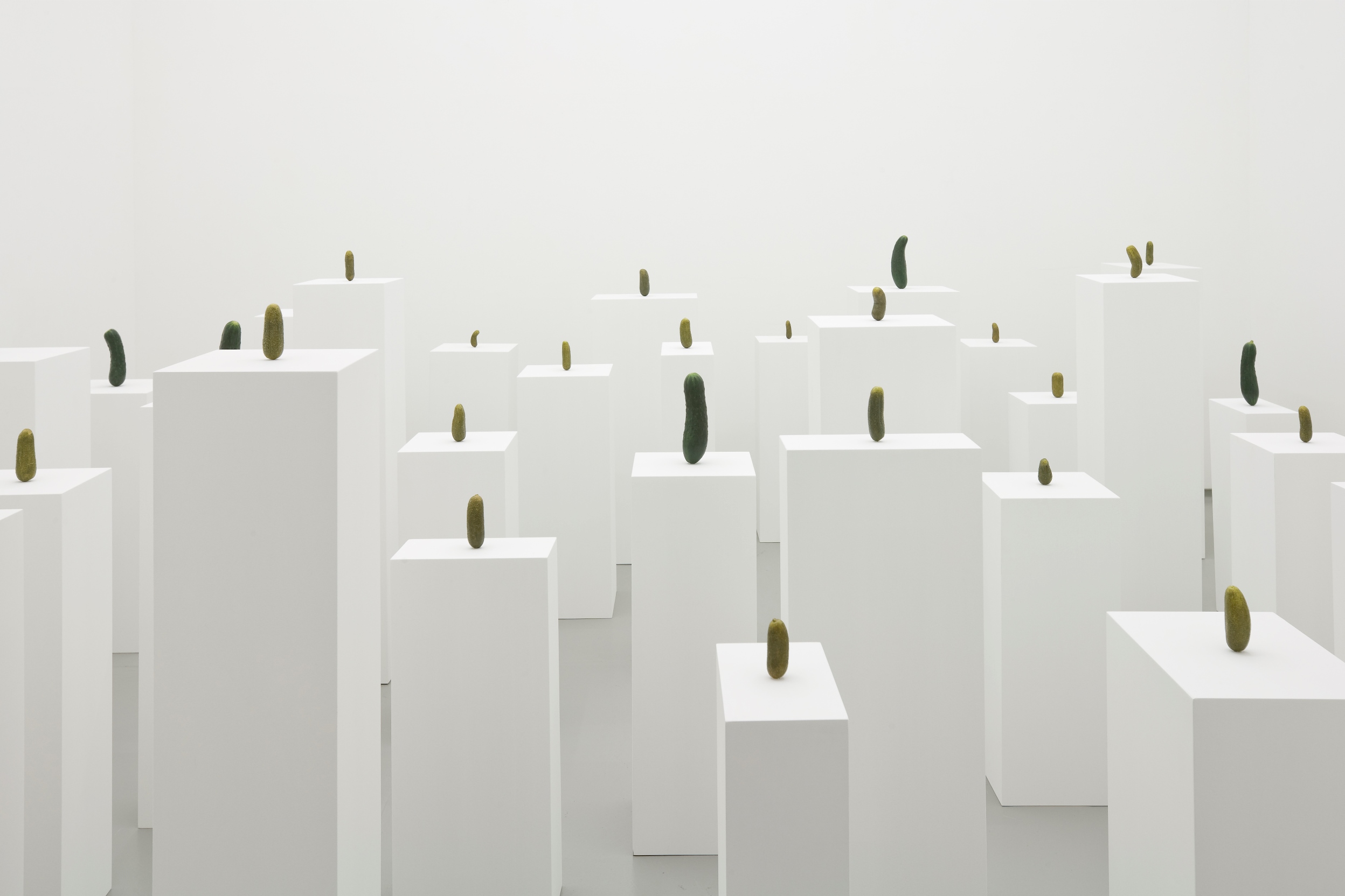 Erwin Wurm, //Autoportret jako ogórek//, 2008, akryl, farba, postumenty, widok instalacji w Tomio Koyama Gallery, Tokio, Japonia