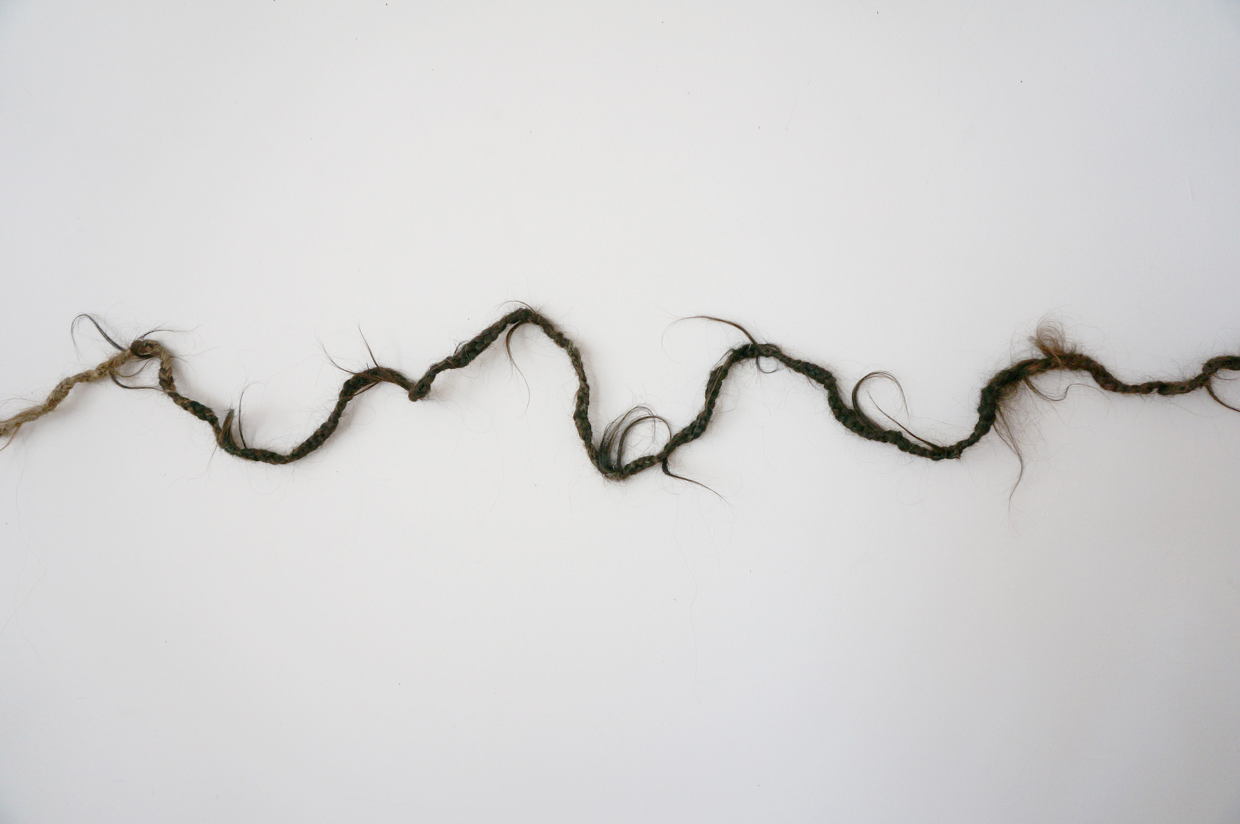 Krystyna Piotrowska, //Jej włosy//, 2013