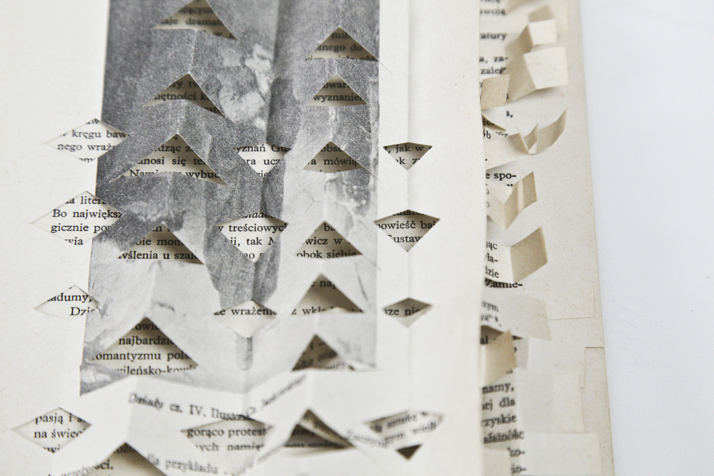 //Art book. New Function of the Book//, fot. Katarzyna Maniak