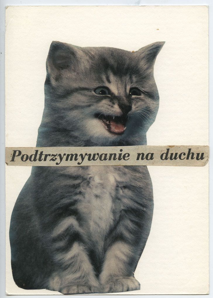 Wisława Szymborska, do Gizeli Szancerowej, 1992, Archiwum MOCAK-u